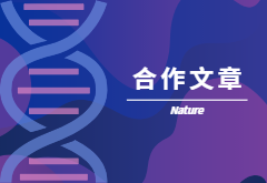 登顶Nature|产量+抗性，鱼和熊掌也可兼得